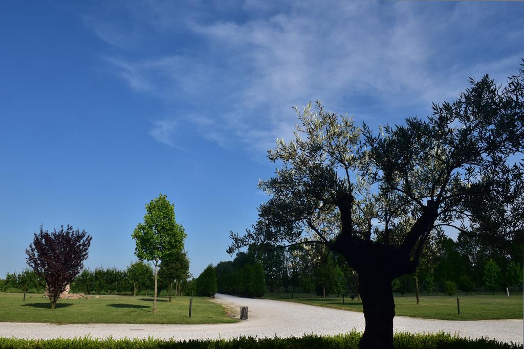 Tenuta Monterosso Feriole Zewnętrze zdjęcie